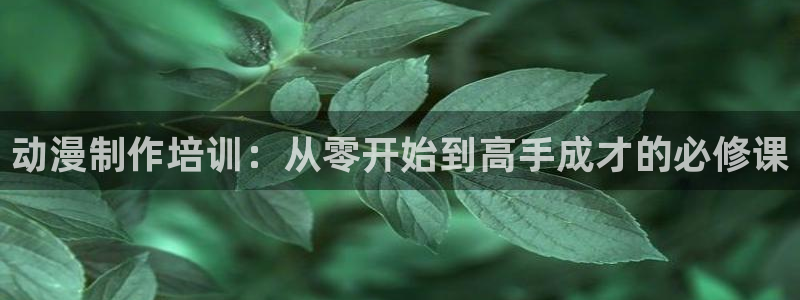 动漫共和国官网正版入口
